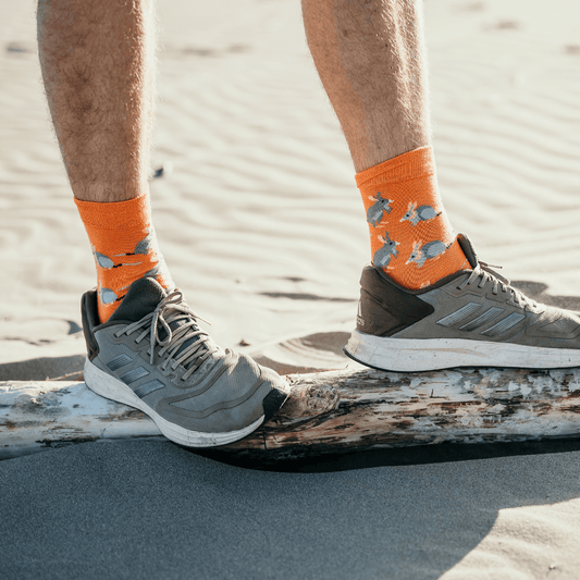 Person wearing orange socks with Bilby design and gray sneakers on a beach.