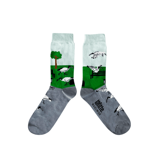 Australian Made novelty socks. Sock has grey foot with a green and blue leg (representing grass & sky in a park seting) with an Ibis print.