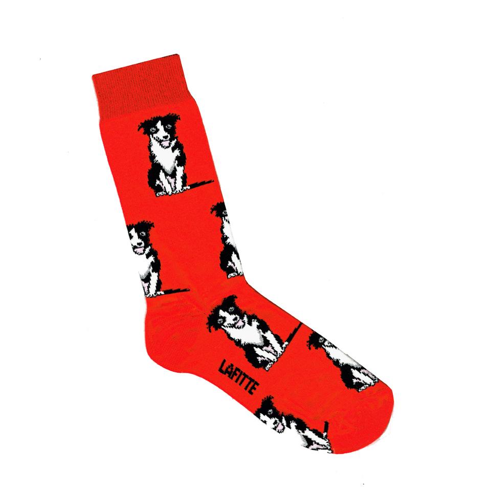 Australian Made novelty socks. Colour is red with collie dogs all over.