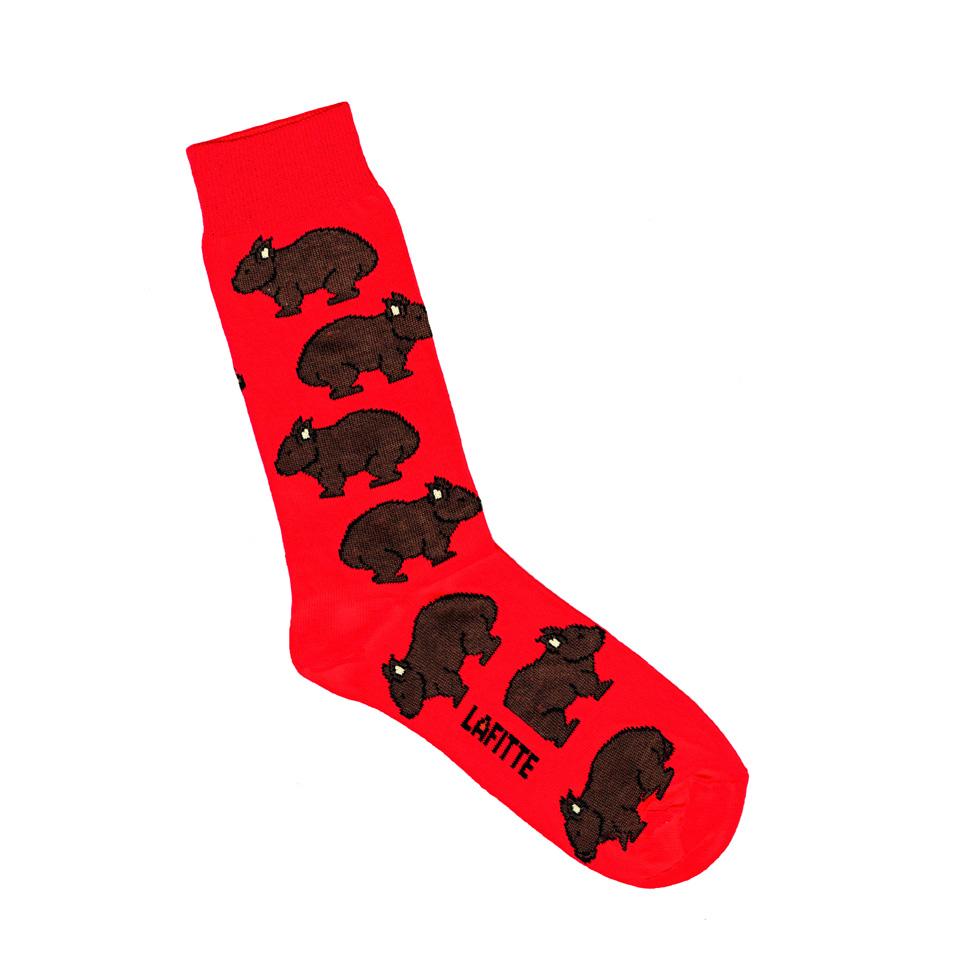 Australian Made novelty socks. Colour is red with wombats all over.